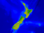 Neuseeland Vegetation 1600x1200